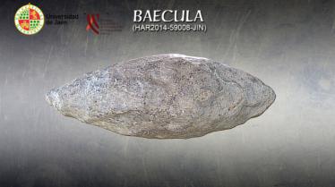 Proyectil de honda o glande
